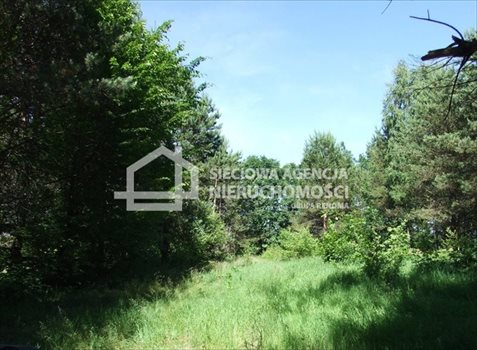 Działka budowlana na sprzedaż Gołubie 1 192m2 Foto 6