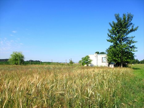 Działka budowlana na sprzedaż Dębowa Łęka, Dębowa Łęka 1 047m2 Foto 3