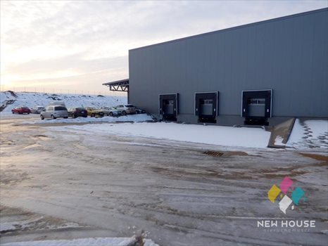 Lokal użytkowy na wynajem Dorotowo 1 200m2 Foto 2