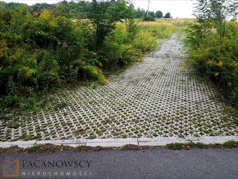 Działka budowlana na sprzedaż Wierzchowie 1 200m2 Foto 9