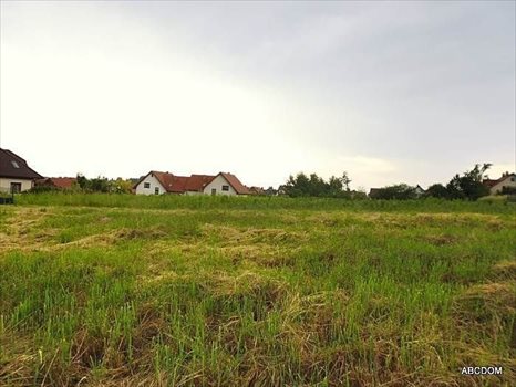 Działka budowlana na sprzedaż Węgrzce, Węgrzce 1 631m2 Foto 3