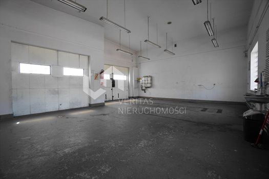 Lokal użytkowy na wynajem Katowice, Dąb 545m2 Foto 4
