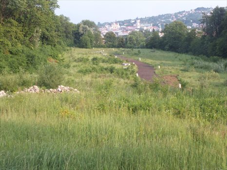 Dom na sprzedaż Przemyśl, Zasanie, Paderewskiego 140m2 Foto 9