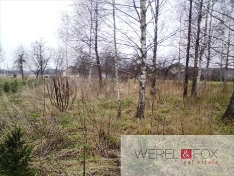 Działka inna na sprzedaż Niewodnica Kościelna 2 904m2 Foto 5