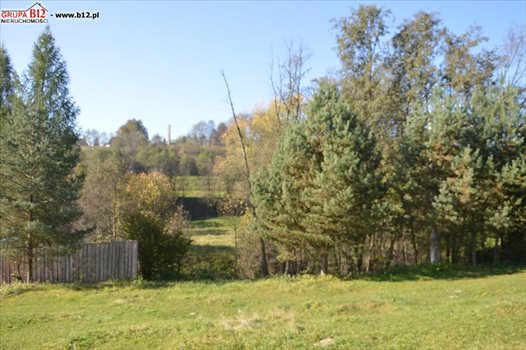 Działka budowlana na sprzedaż Nowy Targ, Klikuszówka 749m2 Foto 4