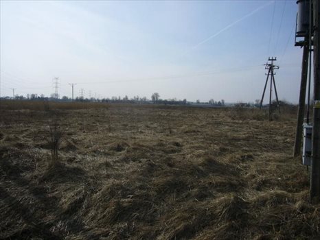 Działka siedliskowa na sprzedaż Gdańsk, Olszynka, Zawodzie 11 648m2 Foto 4