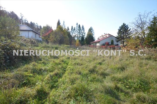 Działka budowlana na sprzedaż Krzywaczka 2 300m2 Foto 5