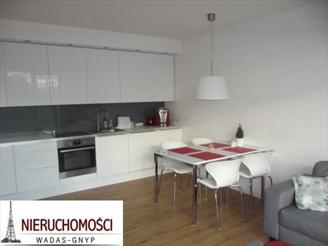Mieszkanie dwupokojowe na wynajem Gliwice, Stare Gliwice 47m2 Foto 5