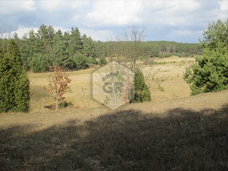Działka rolna na sprzedaż Gołubie 114 900m2 Foto 2