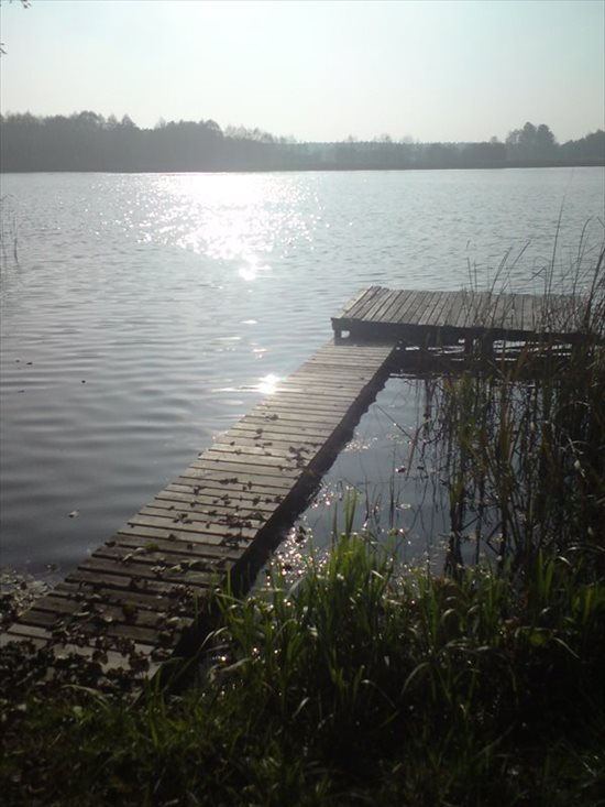 Działka siedliskowa na sprzedaż Krucz, Gminna 1 400m2 Foto 2