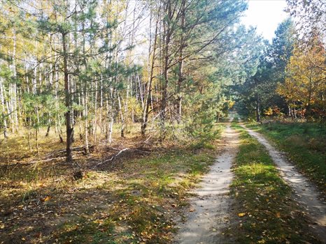Działka rekreacyjna na sprzedaż Ponik 3 150m2 Foto 3