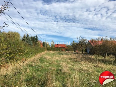 Działka budowlana na sprzedaż Dobranowice 4 500m2 Foto 7