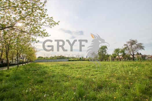 Działka budowlana na sprzedaż Siemianice, Siemianice 4 300m2 Foto 1