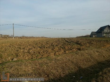 Działka budowlana na sprzedaż Cianowice Duże 10 700m2 Foto 2