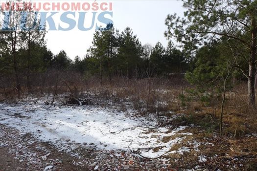 Działka budowlana na sprzedaż Łoś, Łoś 1 000m2 Foto 11