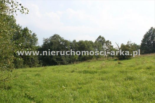 Działka budowlana na sprzedaż Gruszowiec 3 400m2 Foto 6