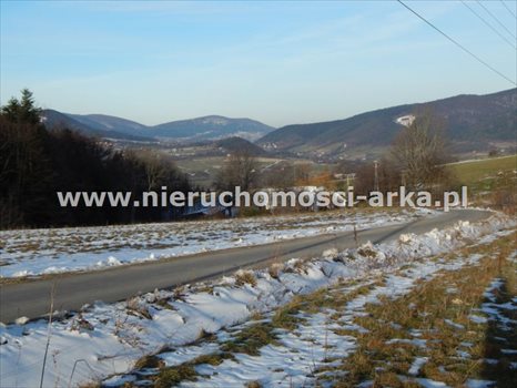 Działka budowlana na sprzedaż Skrzydlna 4 600m2 Foto 4
