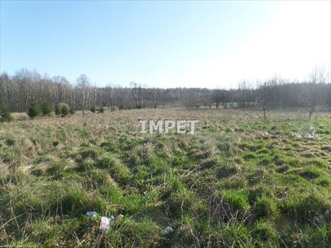Działka inna na sprzedaż Mała Wieś Dolna 5 100m2 Foto 2