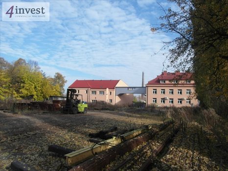 Lokal użytkowy na wynajem Będzin, Kościuszki 55m2 Foto 9