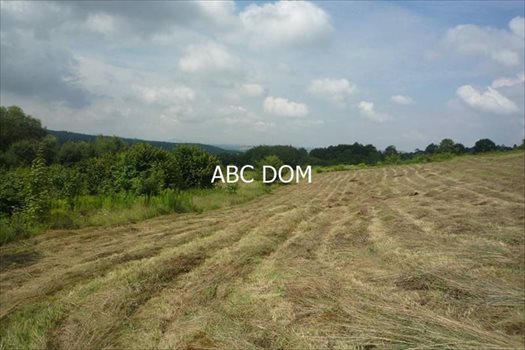 Działka budowlana na sprzedaż Mogilany, Mogilany 4 100m2 Foto 5