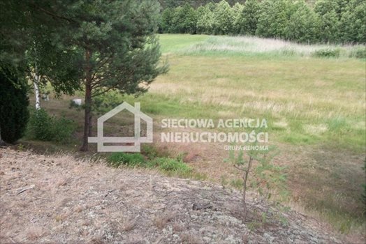 Działka rolna na sprzedaż Sepiot 43 700m2 Foto 9