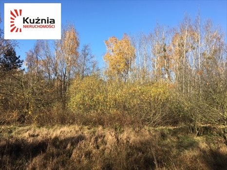 Działka budowlana na sprzedaż Siestrzeń, Łąkowa 2 064m2 Foto 6