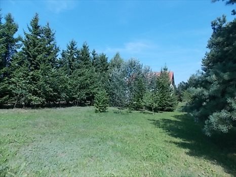 Dom na sprzedaż Radzieje 202m2 Foto 12