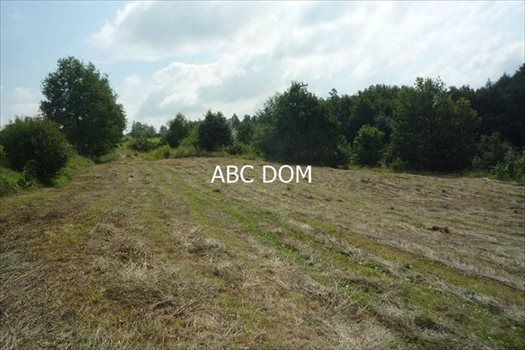 Działka budowlana na sprzedaż Mogilany, Mogilany 4 100m2 Foto 3