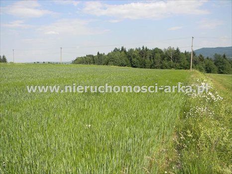 Działka rolna na sprzedaż Stare Rybie 7 200m2 Foto 2