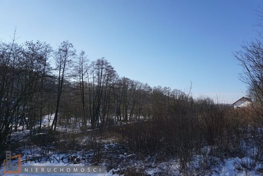 Działka inna na sprzedaż Januszowice 11 700m2 Foto 5