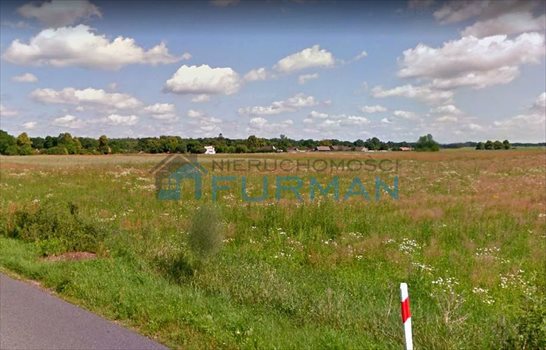 Działka rolna na sprzedaż Trzebin 107 700m2 Foto 2