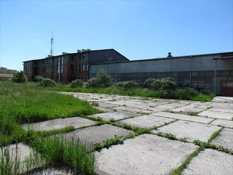 Lokal użytkowy na wynajem Oleśnica, OLEŚNICA / STREFA PRZEMYSŁOWA 330m2 Foto 4