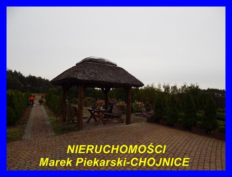 Działka rolna na sprzedaż Kiełpin 12 494m2 Foto 5