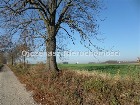 Lokal użytkowy na sprzedaż Gościeradz 127 980m2 Foto 7