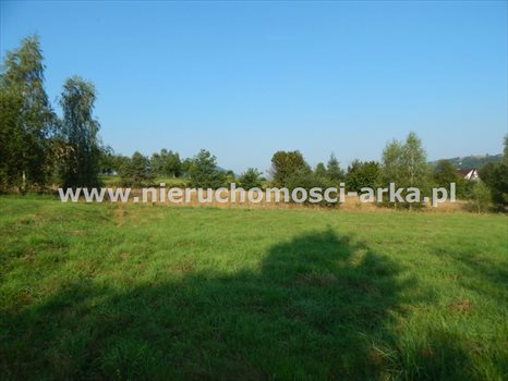 Działka budowlana na sprzedaż Dobra 3 100m2 Foto 4
