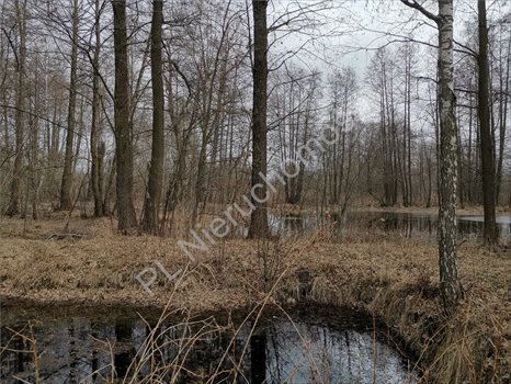 Dom na sprzedaż Piaseczno 60m2 Foto 7