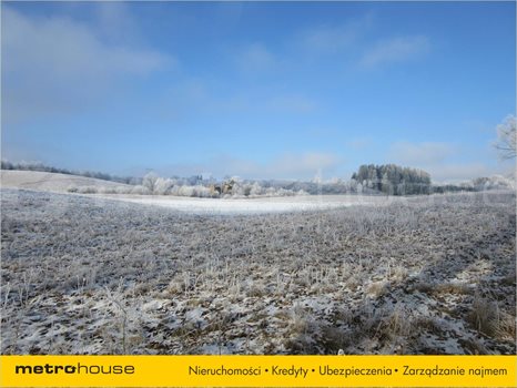 Działka rolna na sprzedaż Łomy, Jonkowo 5 500m2 Foto 2