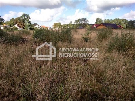 Działka budowlana na sprzedaż Krępa Kaszubska 830m2 Foto 2