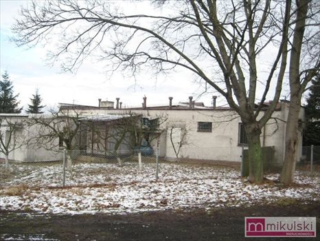 Lokal użytkowy na sprzedaż Maszewo, Centrum 1 050m2 Foto 10