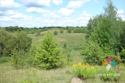 Działka inwestycyjna na sprzedaż Ramsowo 40 004m2 Foto 8
