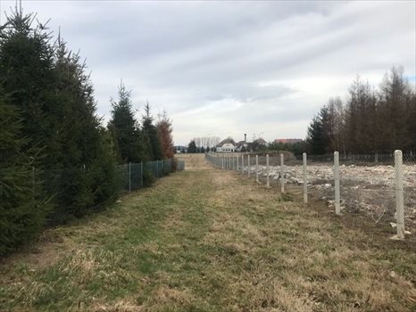 Działka budowlana na sprzedaż Radogoszcz 3 064m2 Foto 3