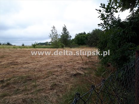 Działka budowlana na sprzedaż Izbica 1 248m2 Foto 12