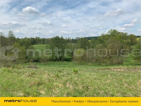 Działka inna na sprzedaż Trzepowo, Przywidz 1 002m2 Foto 3