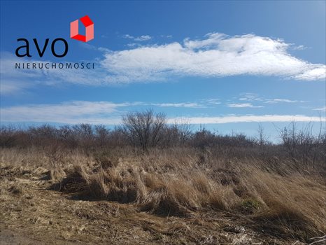 Działka inwestycyjna na sprzedaż Gdańsk, Lipce 3 792m2 Foto 3