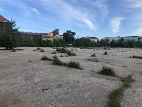 Działka budowlana na sprzedaż Gliwice 25 001m2 Foto 4