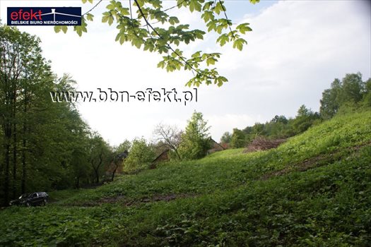 Działka rekreacyjna na sprzedaż Kozy 1 600m2 Foto 8