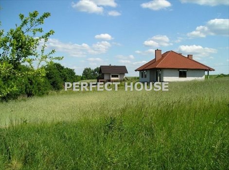 Działka budowlana na sprzedaż Jerzyn 3 548m2 Foto 3