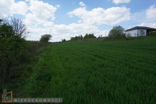 Działka budowlana na sprzedaż Cianowice Duże 4 006m2 Foto 3