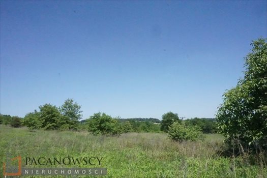 Działka budowlana na sprzedaż Balice 6 700m2 Foto 4