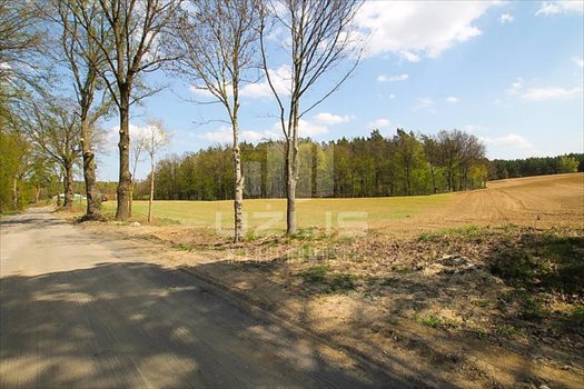 Działka inna na sprzedaż Rokocin, Jezioro, Las, Peplińskiego 13 729m2 Foto 10